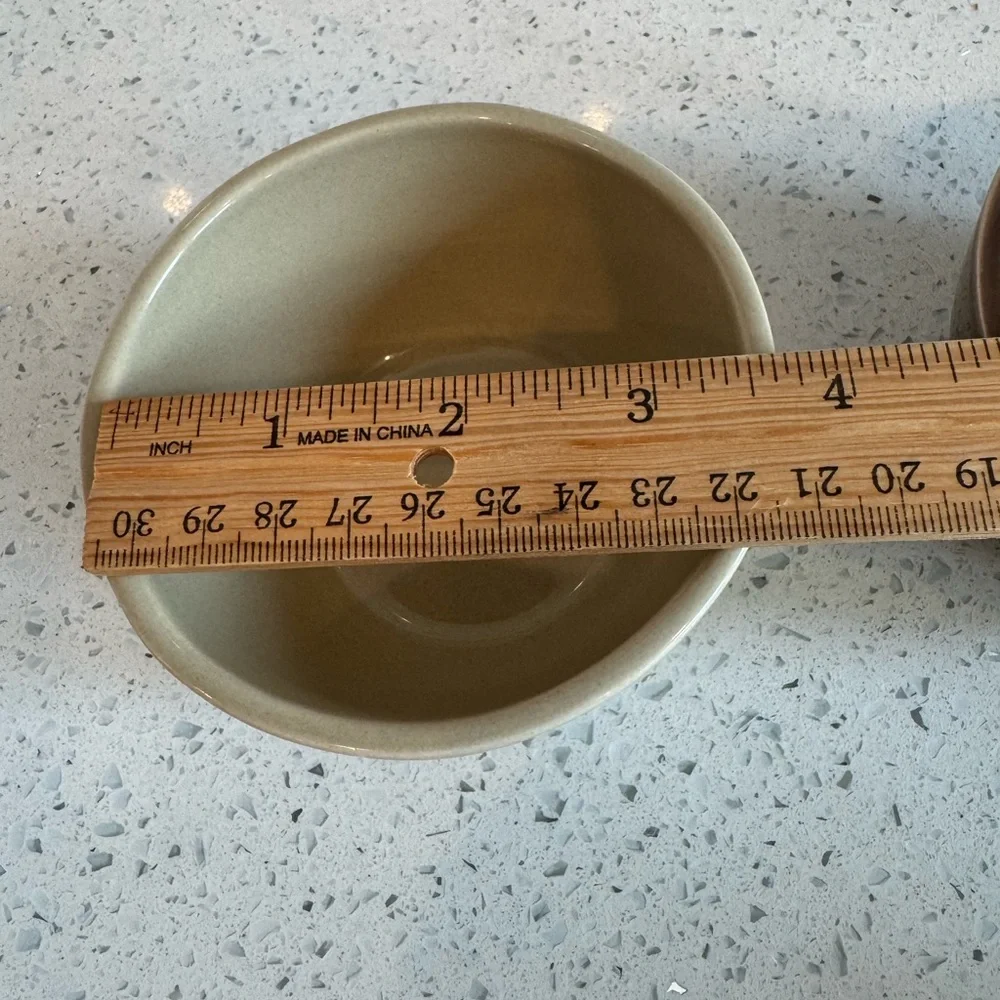 Set of 2 Pottery Barn Brown and Tan Berry Bowls